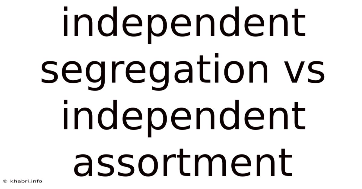 Independent Segregation Vs Independent Assortment
