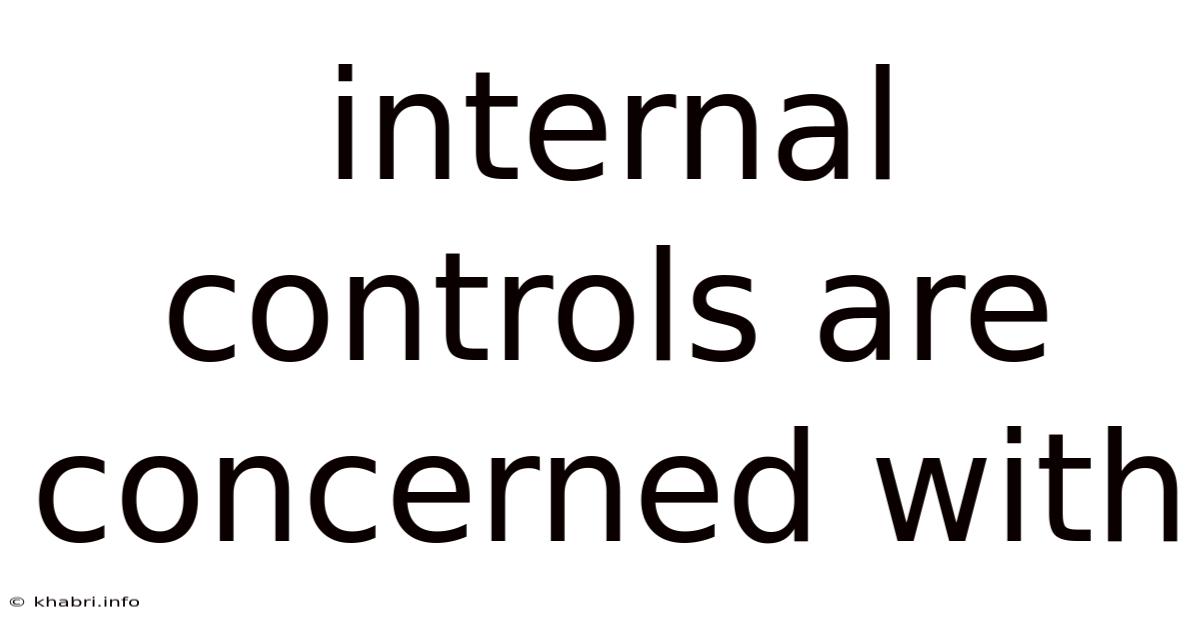 Internal Controls Are Concerned With