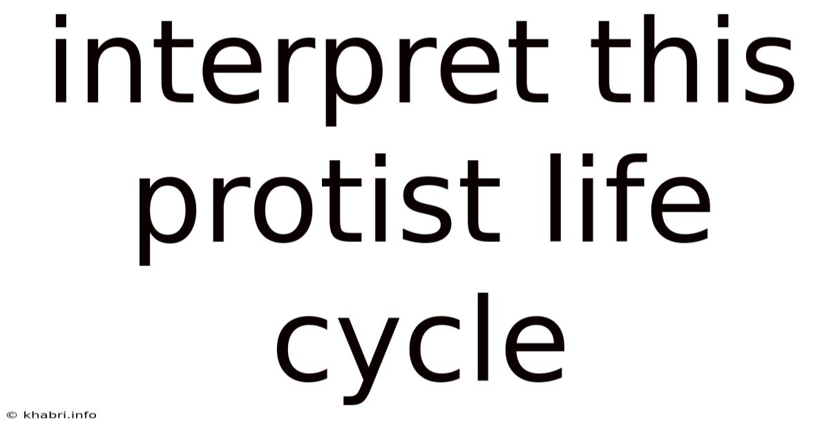 Interpret This Protist Life Cycle