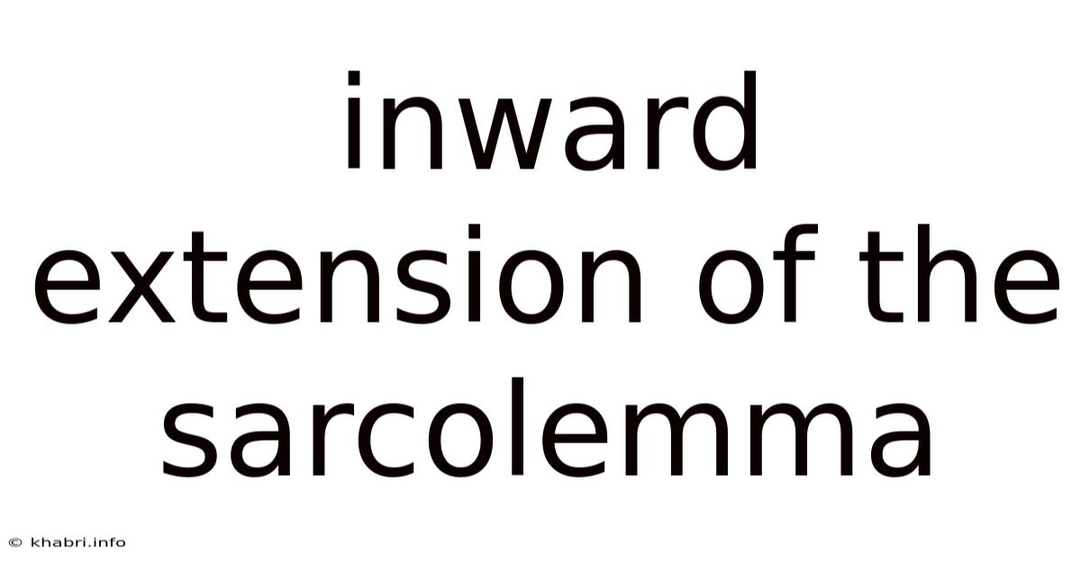 Inward Extension Of The Sarcolemma