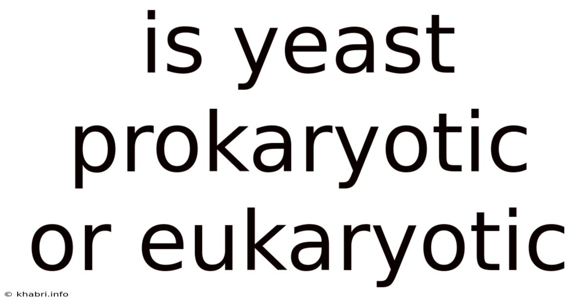 Is Yeast Prokaryotic Or Eukaryotic