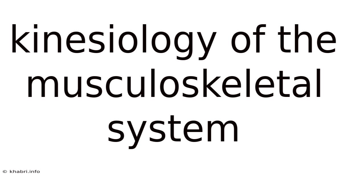 Kinesiology Of The Musculoskeletal System