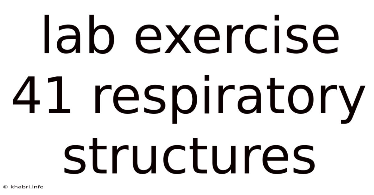 Lab Exercise 41 Respiratory Structures
