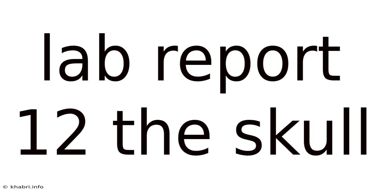 Lab Report 12 The Skull