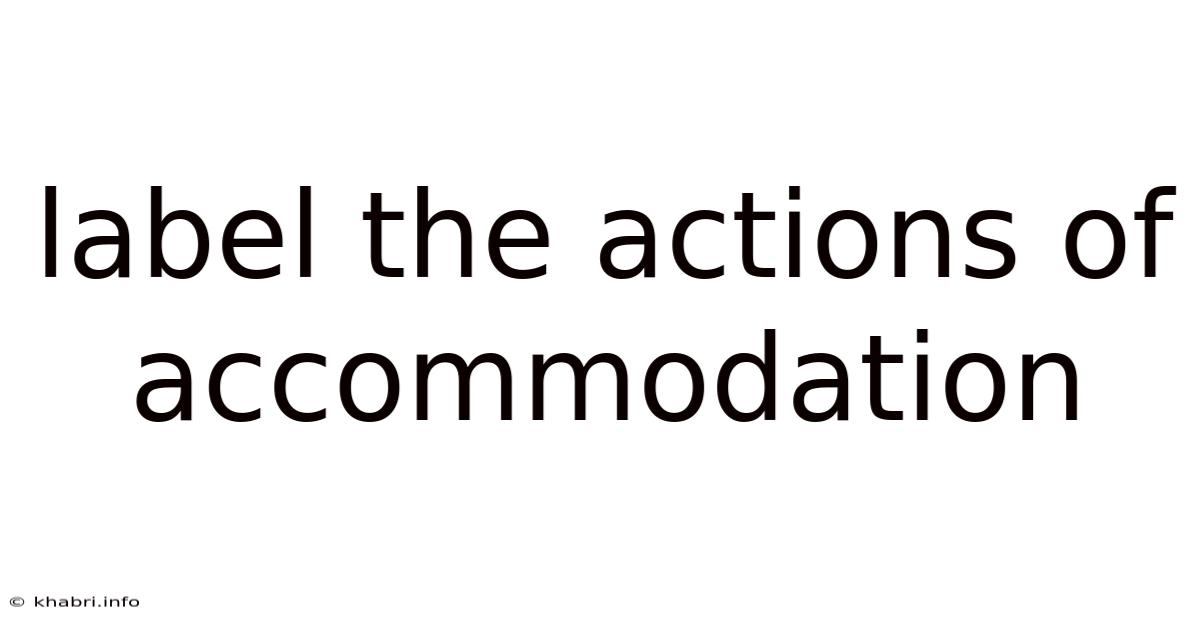 Label The Actions Of Accommodation