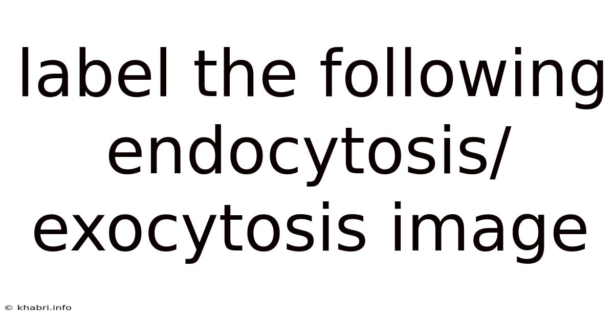 Label The Following Endocytosis/exocytosis Image