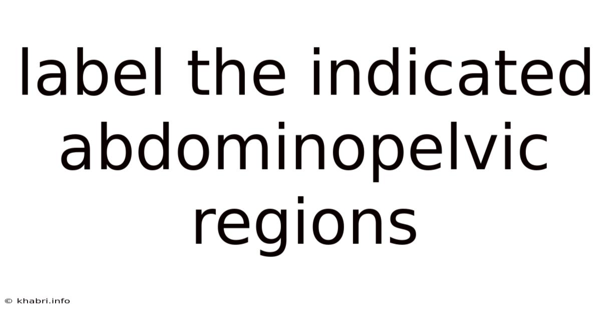 Label The Indicated Abdominopelvic Regions