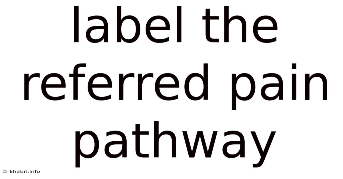 Label The Referred Pain Pathway