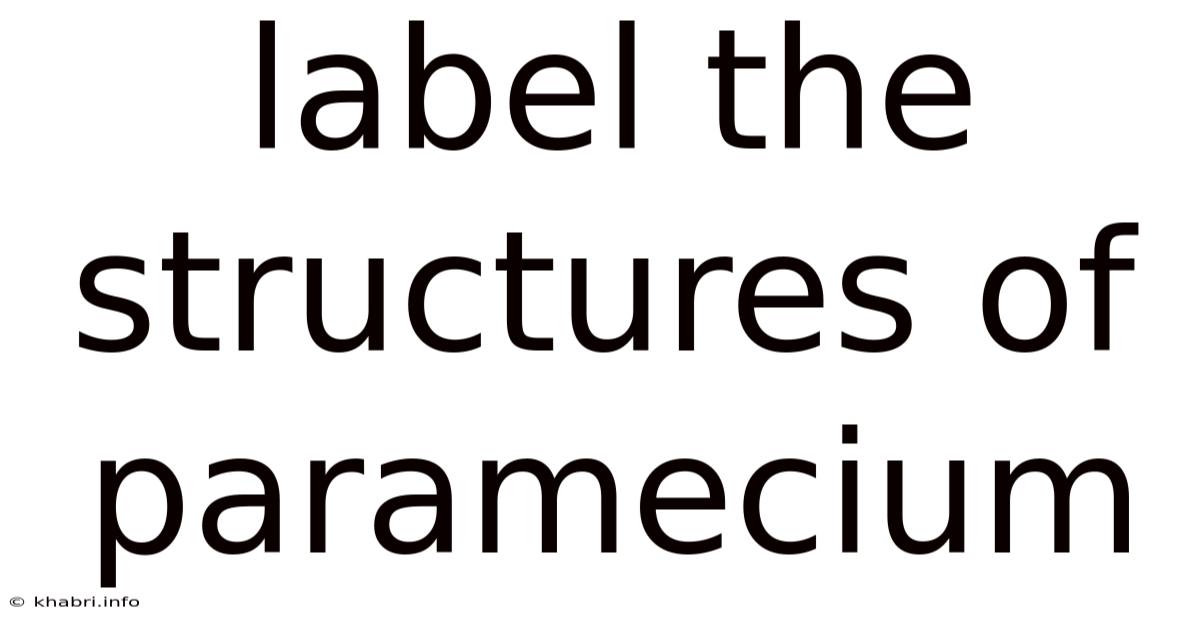Label The Structures Of Paramecium