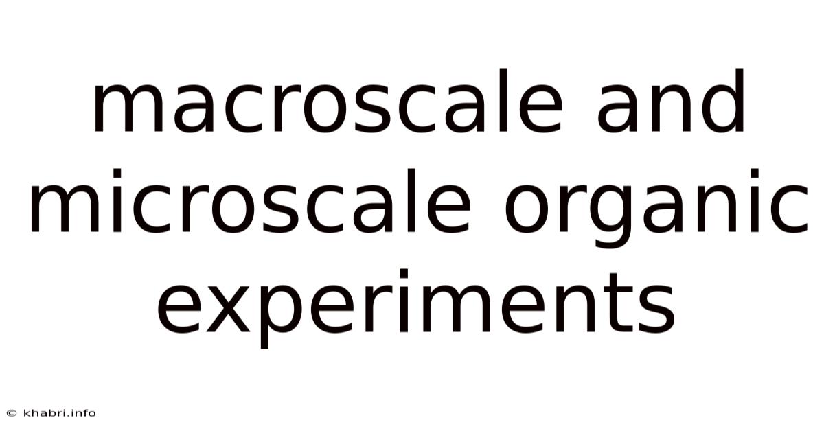 Macroscale And Microscale Organic Experiments