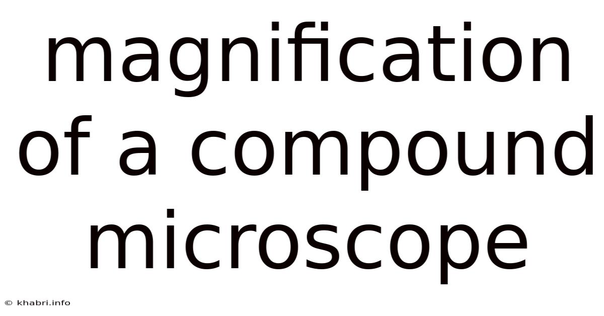 Magnification Of A Compound Microscope