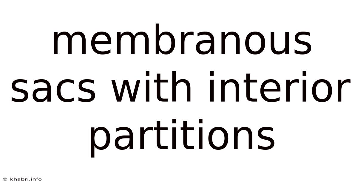 Membranous Sacs With Interior Partitions
