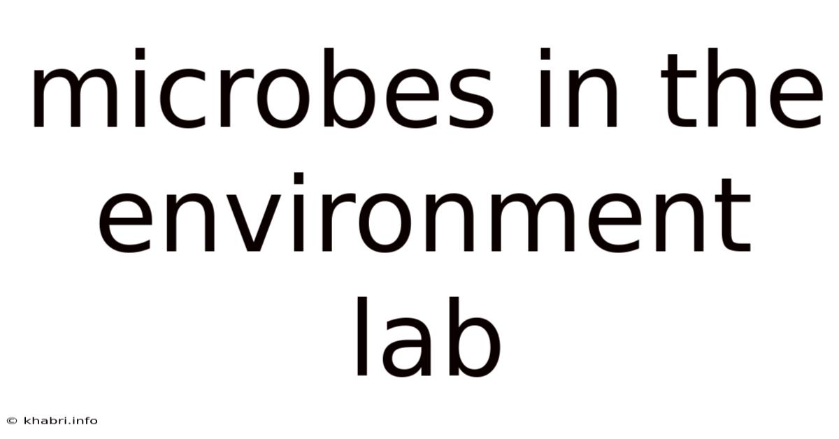 Microbes In The Environment Lab