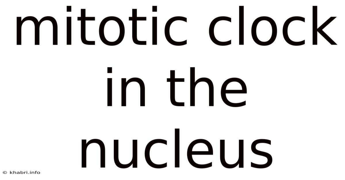 Mitotic Clock In The Nucleus