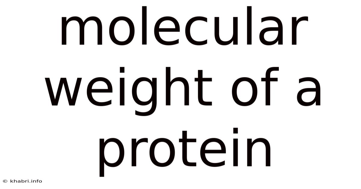 Molecular Weight Of A Protein
