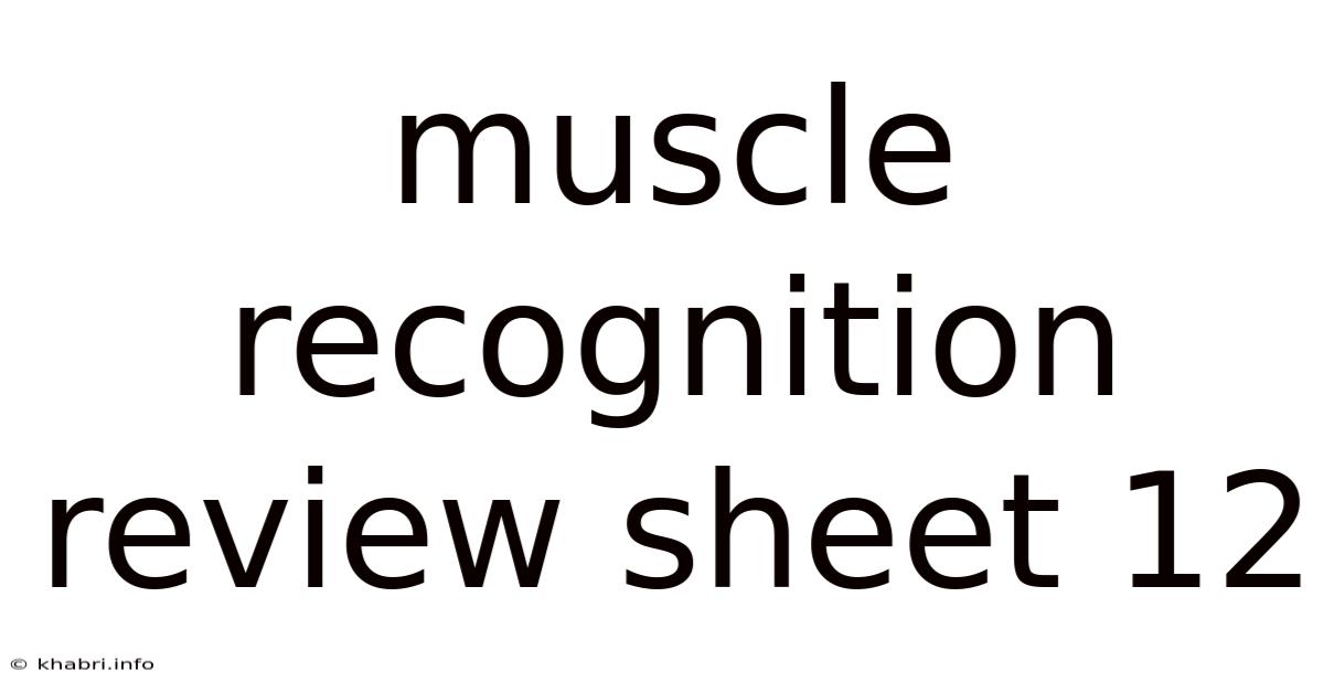 Muscle Recognition Review Sheet 12
