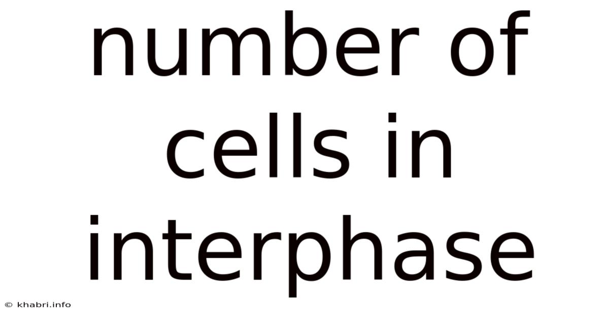 Number Of Cells In Interphase