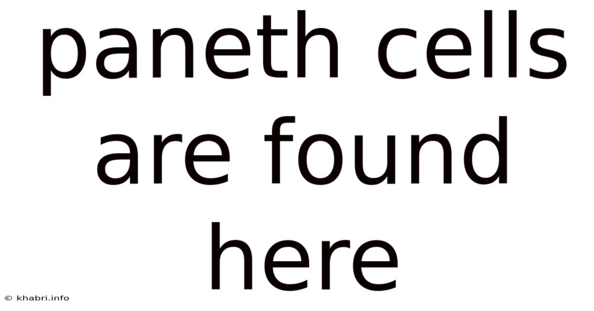 Paneth Cells Are Found Here