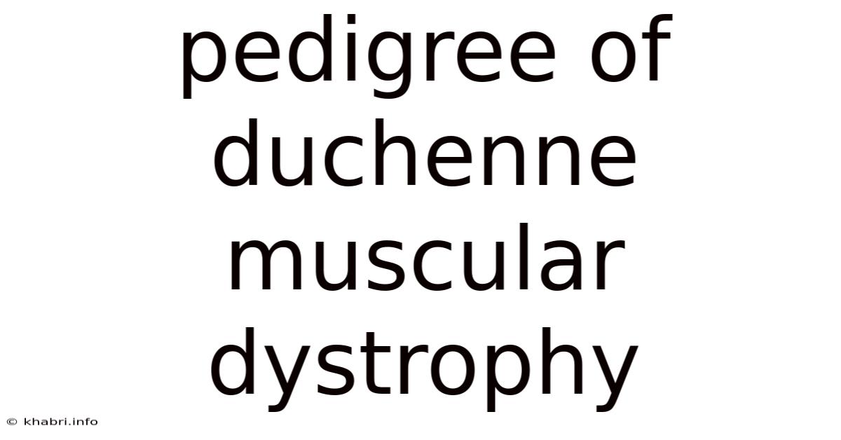 Pedigree Of Duchenne Muscular Dystrophy