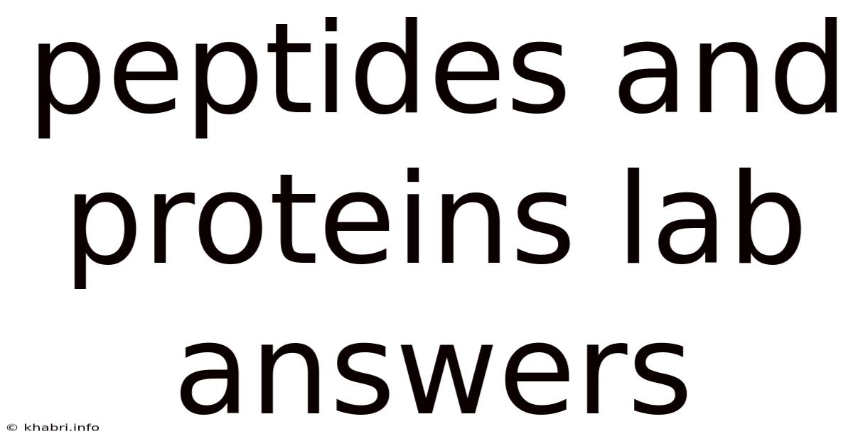 Peptides And Proteins Lab Answers