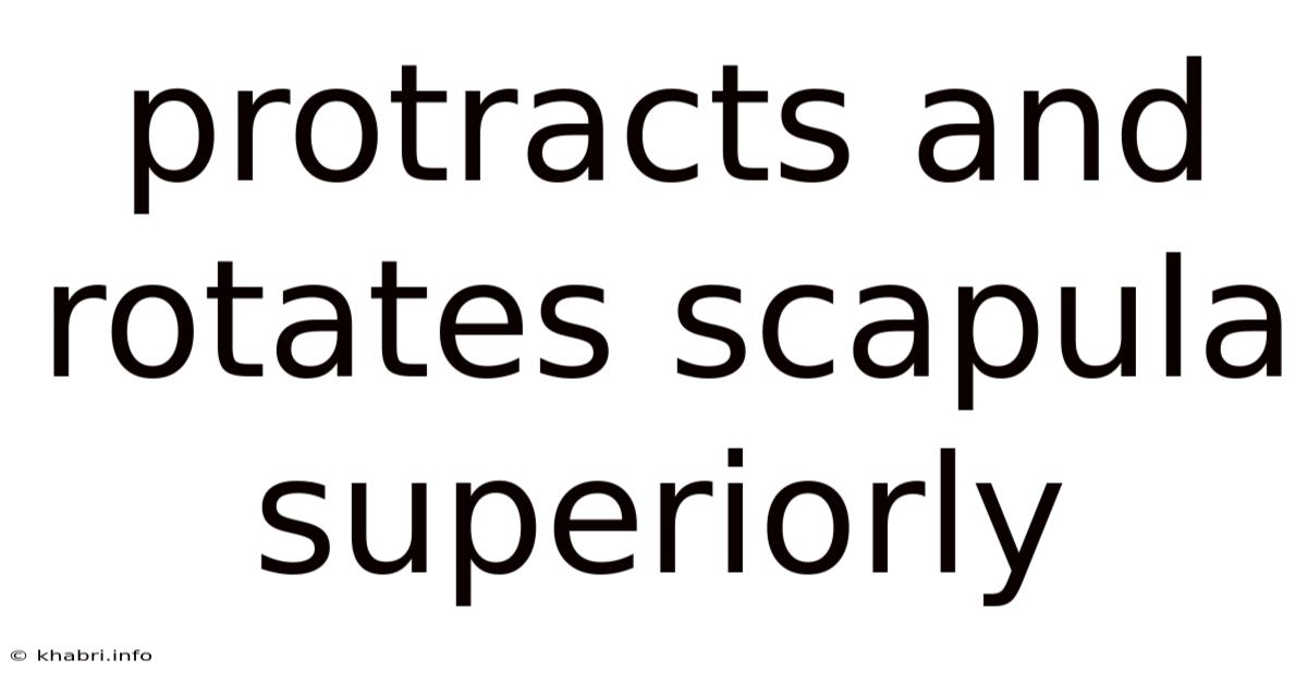 Protracts And Rotates Scapula Superiorly
