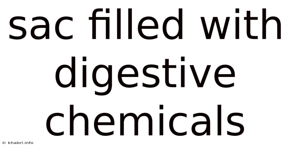 Sac Filled With Digestive Chemicals