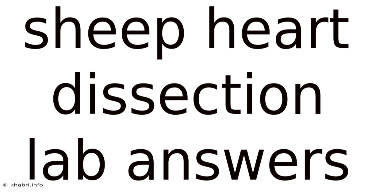 Sheep Heart Dissection Lab Answers