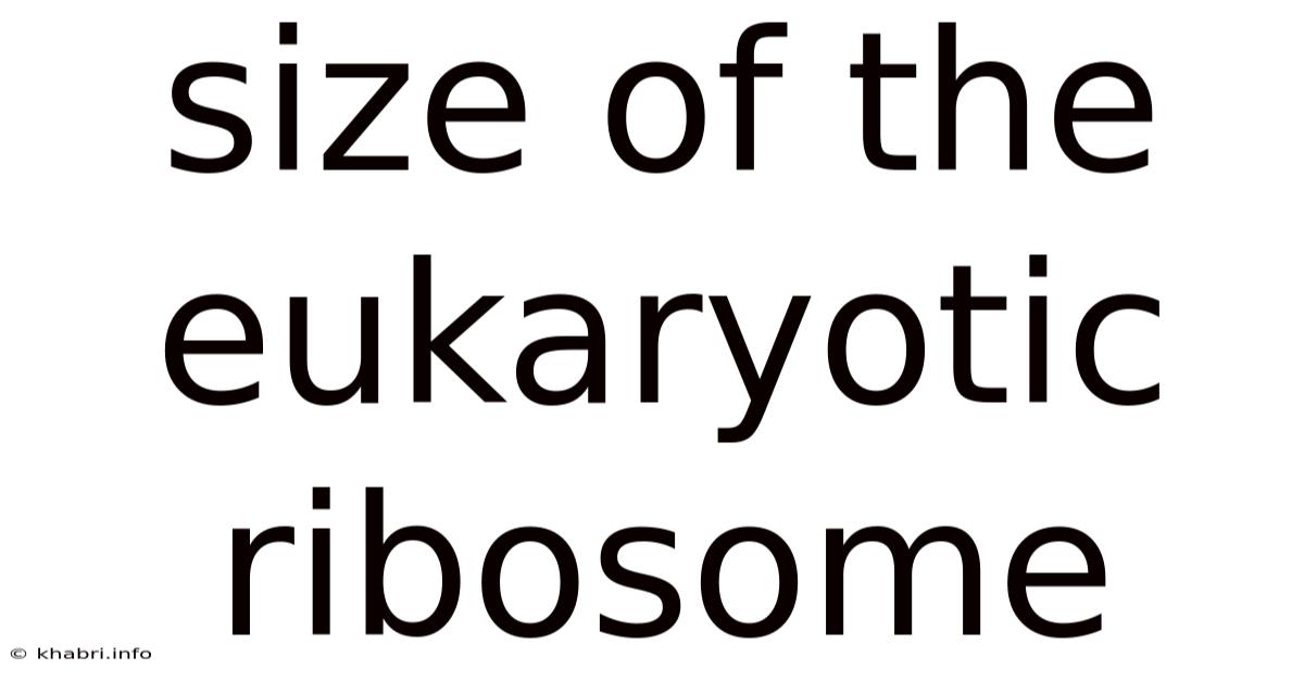 Size Of The Eukaryotic Ribosome