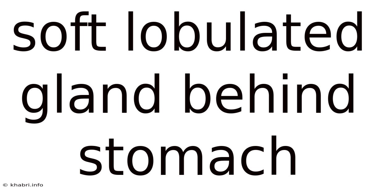 Soft Lobulated Gland Behind Stomach