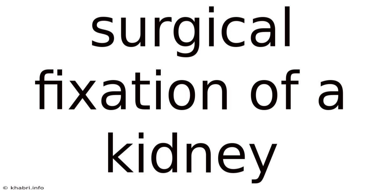 Surgical Fixation Of A Kidney