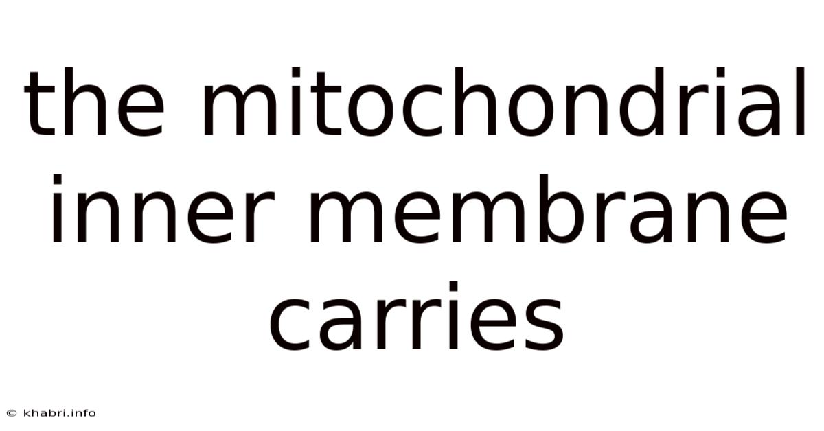 The Mitochondrial Inner Membrane Carries