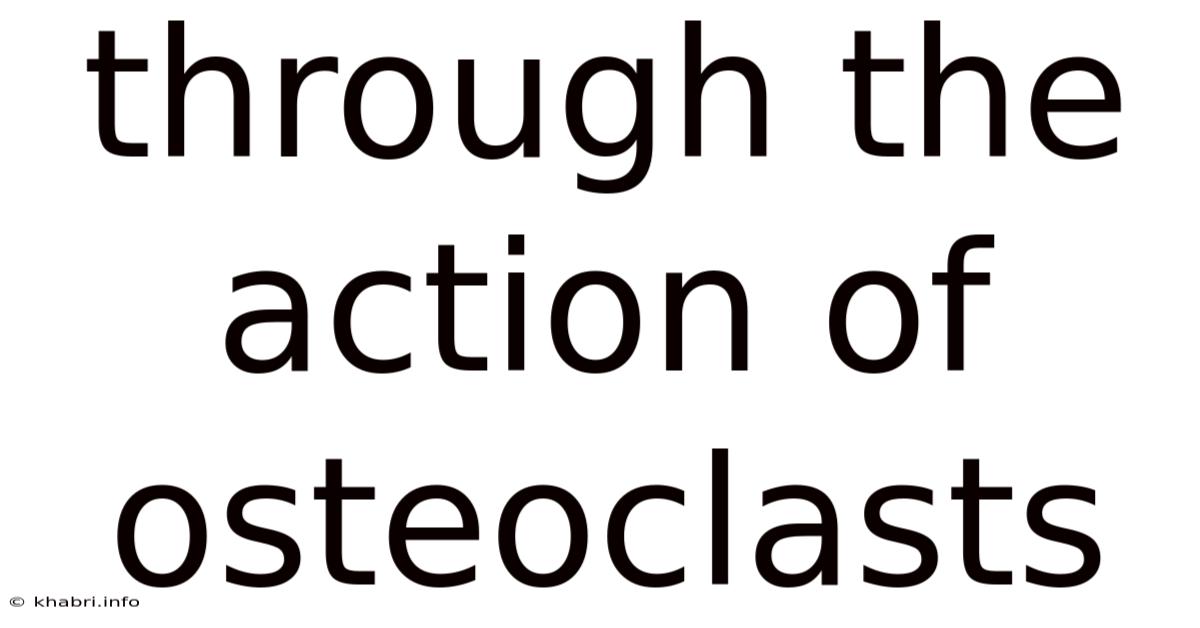 Through The Action Of Osteoclasts