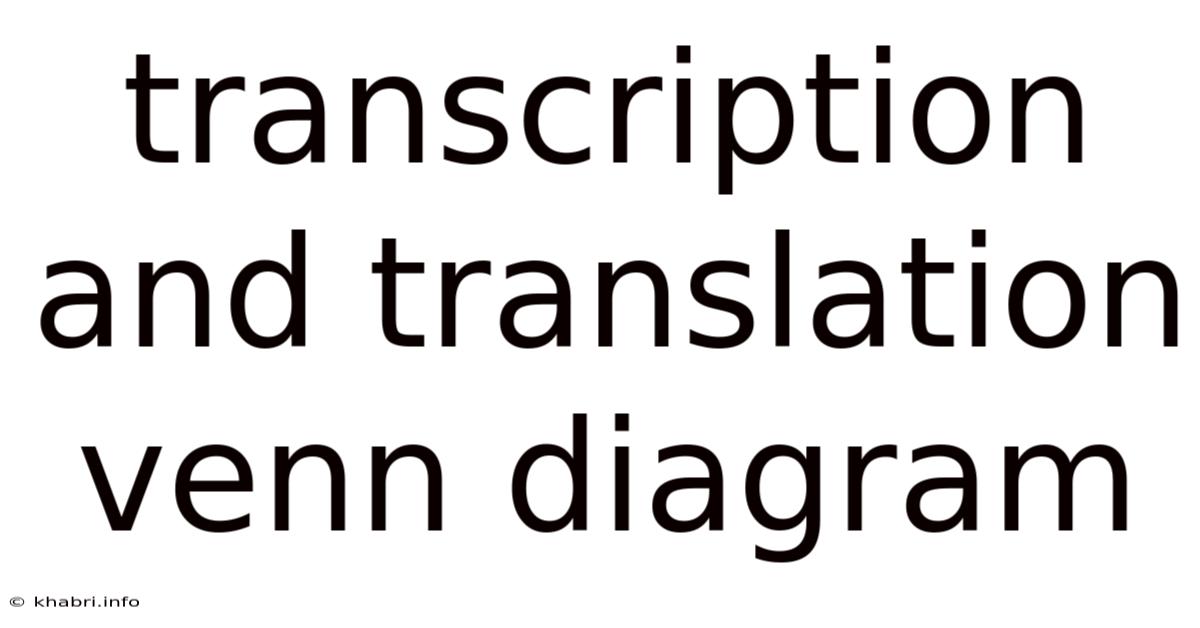 Transcription And Translation Venn Diagram