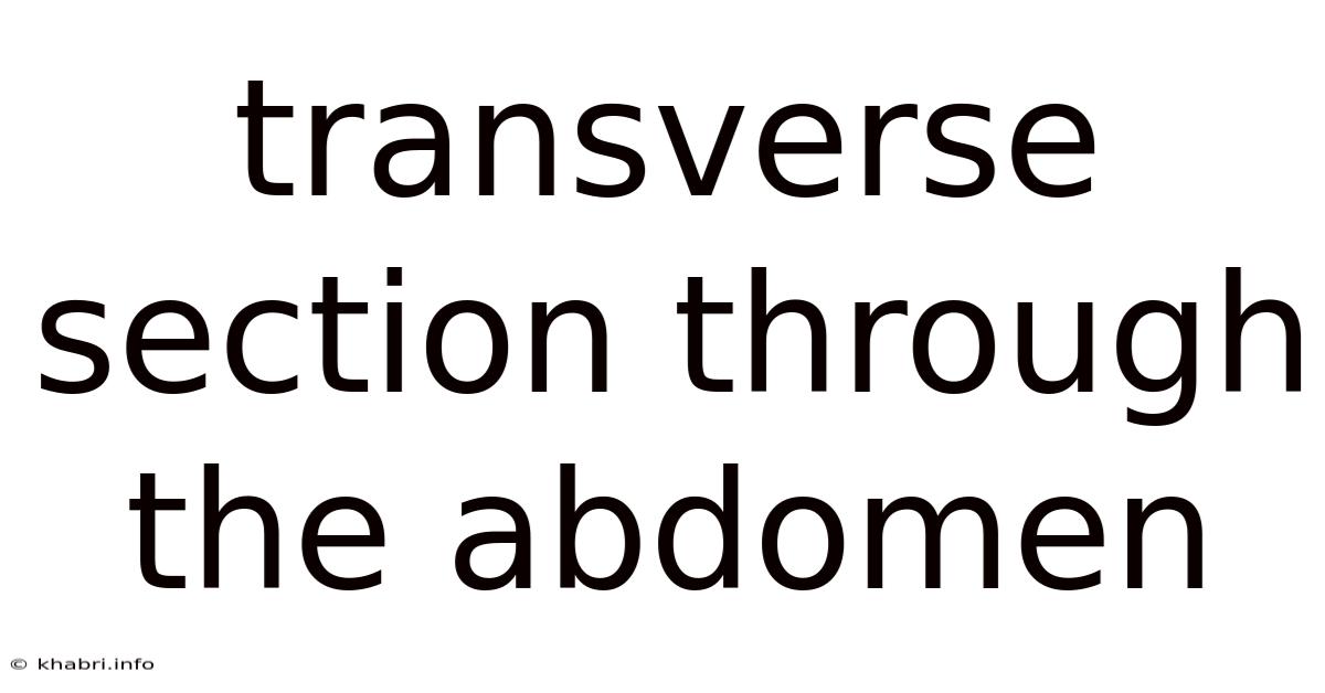 Transverse Section Through The Abdomen
