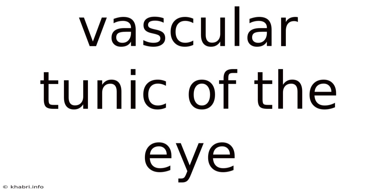 Vascular Tunic Of The Eye