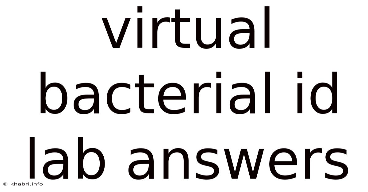 Virtual Bacterial Id Lab Answers