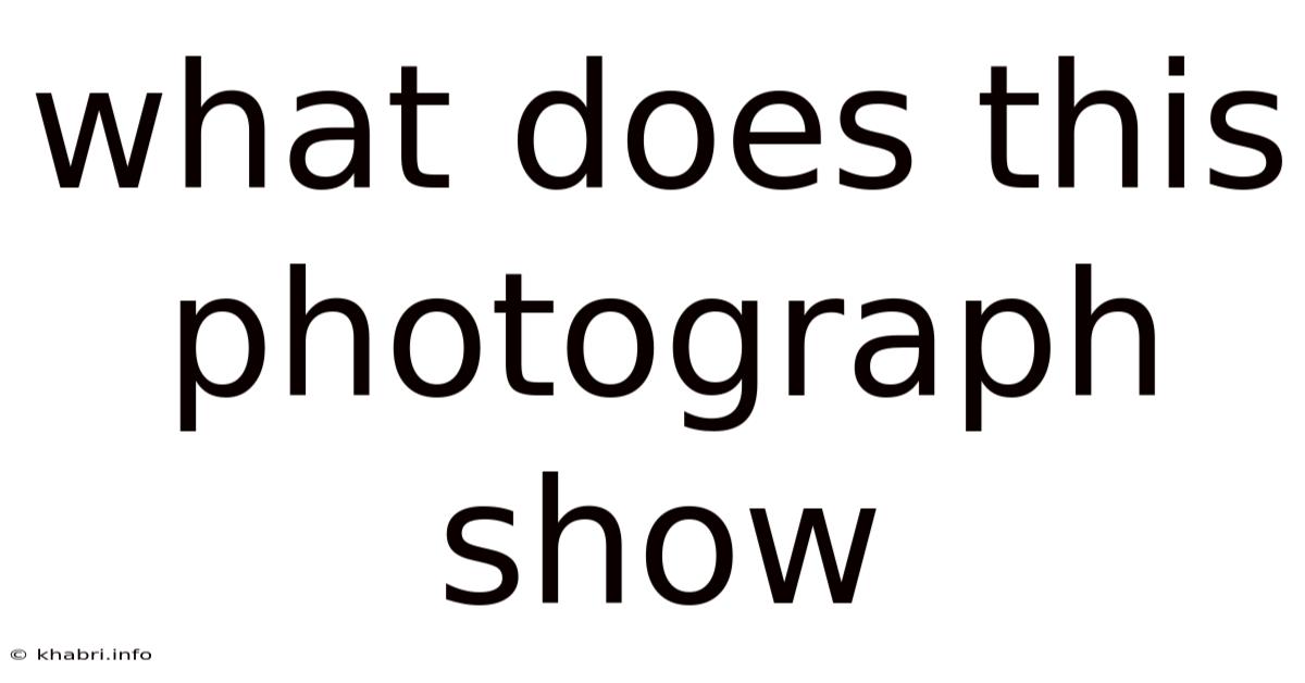 What Does This Photograph Show