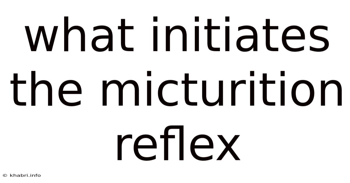 What Initiates The Micturition Reflex