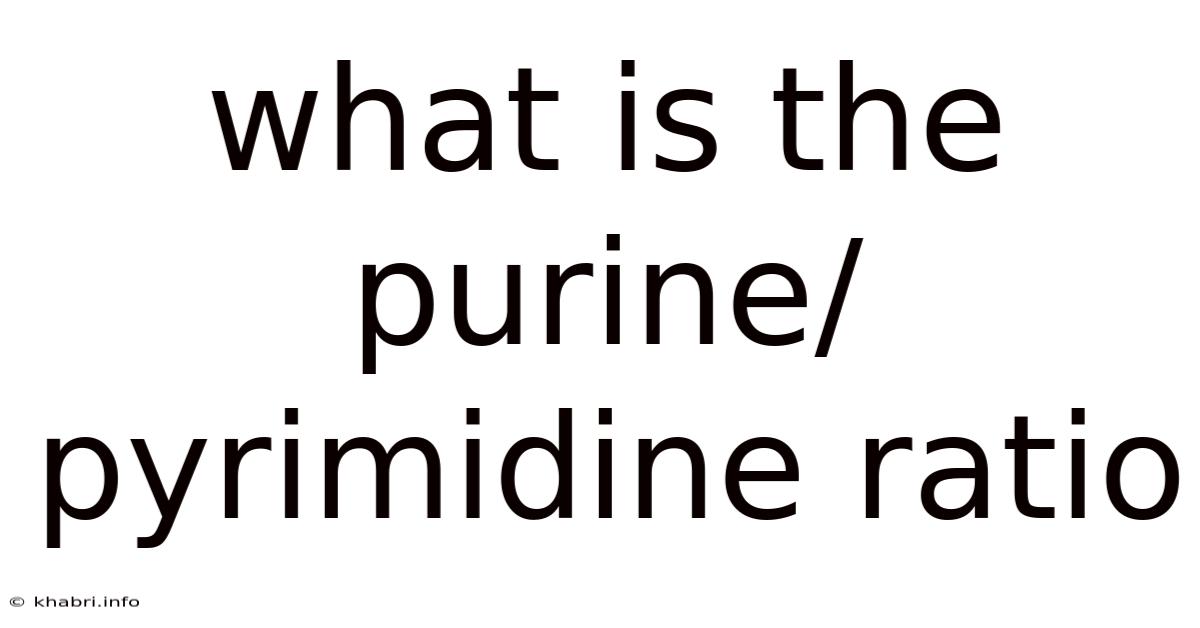 What Is The Purine/pyrimidine Ratio