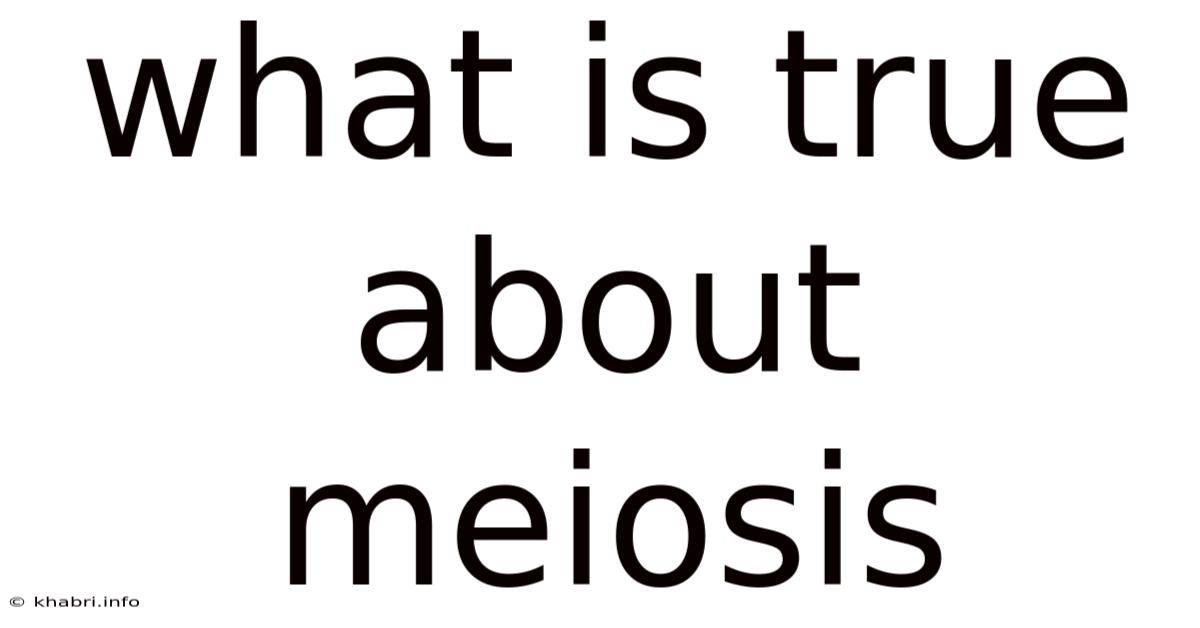 What Is True About Meiosis