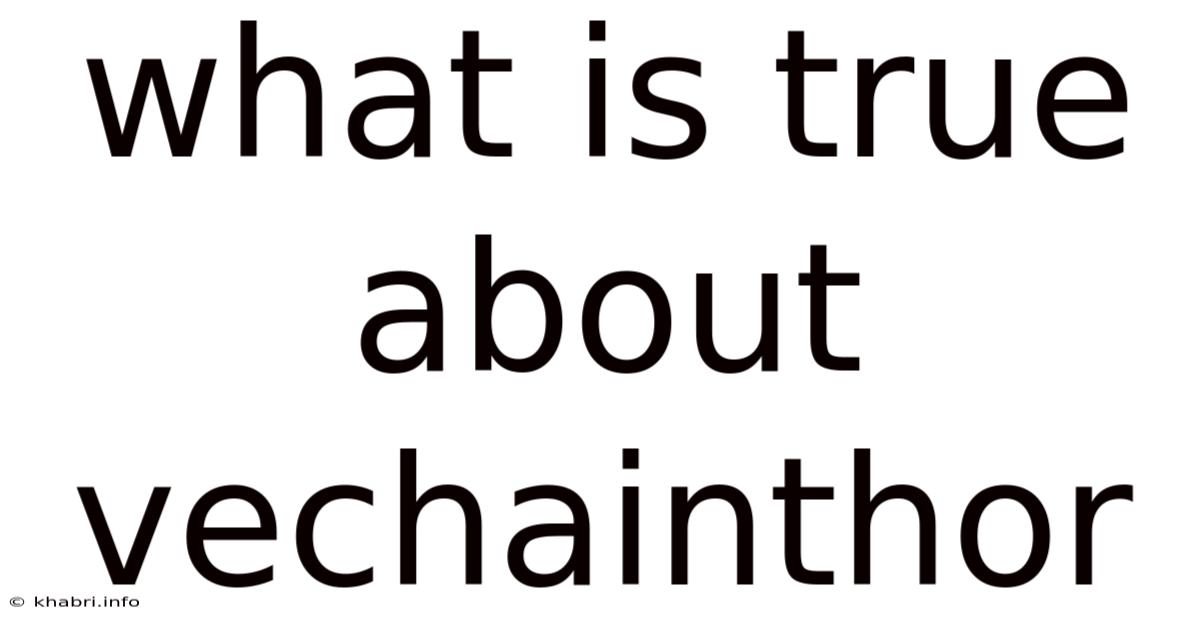 What Is True About Vechainthor