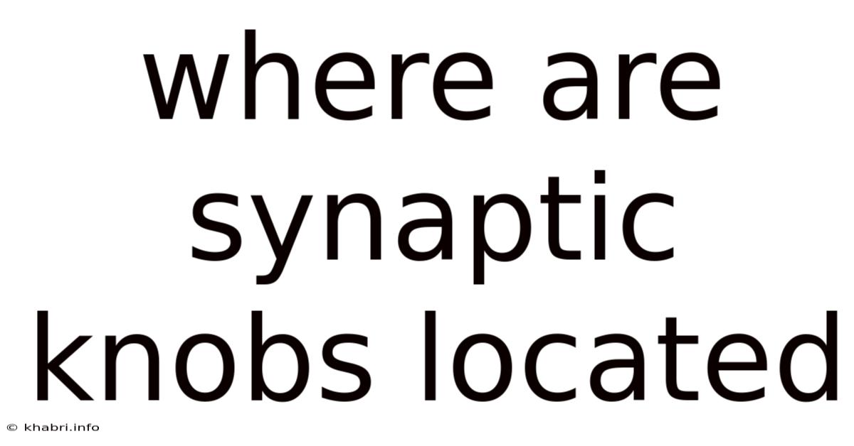 Where Are Synaptic Knobs Located