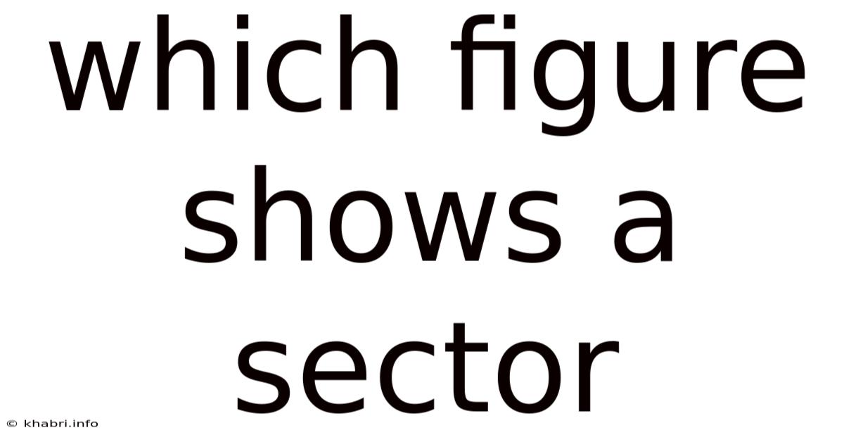 Which Figure Shows A Sector