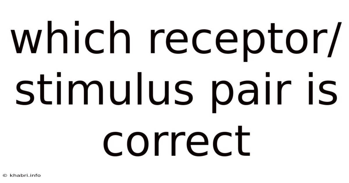 Which Receptor/stimulus Pair Is Correct