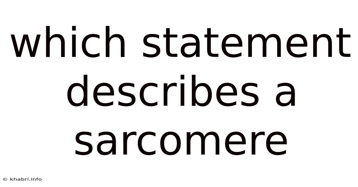 Which Statement Describes A Sarcomere