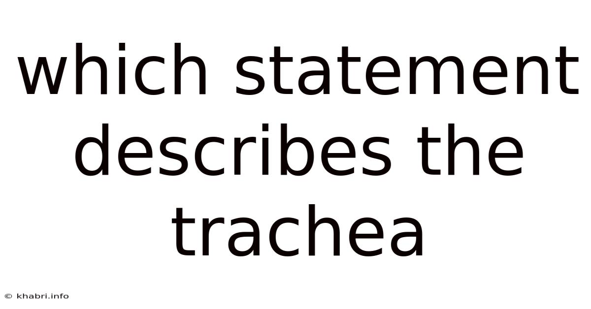 Which Statement Describes The Trachea