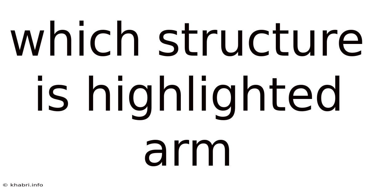 Which Structure Is Highlighted Arm