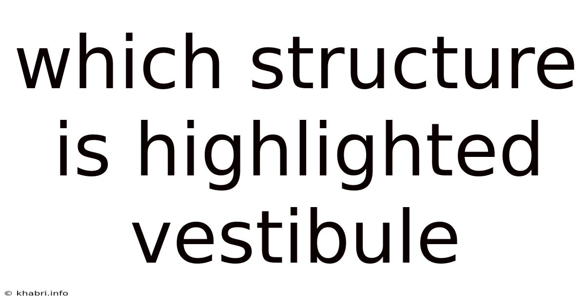 Which Structure Is Highlighted Vestibule