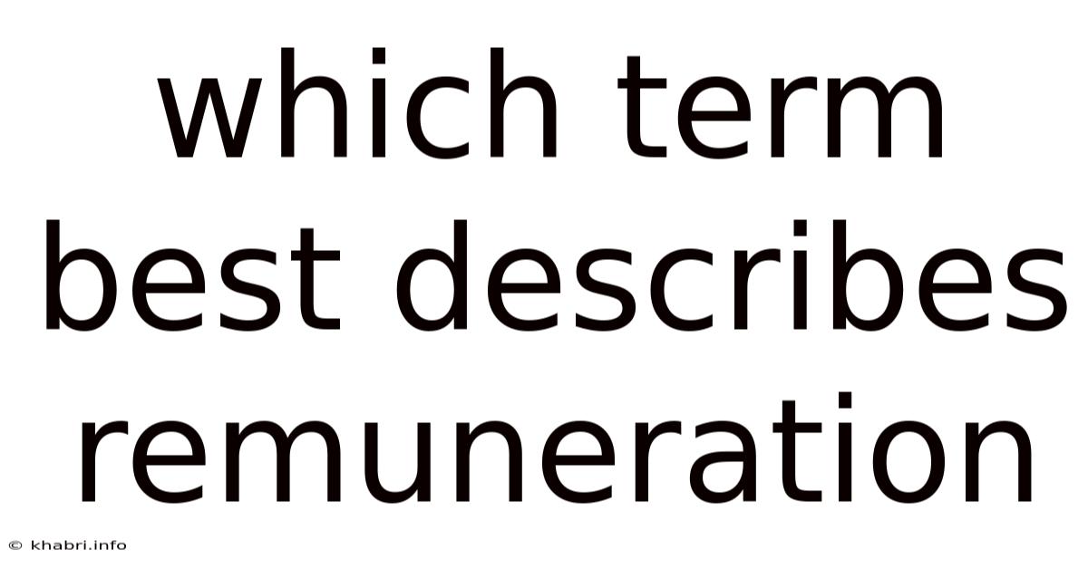 Which Term Best Describes Remuneration