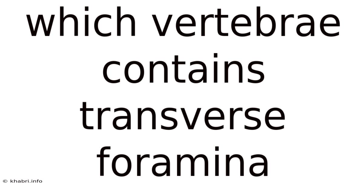 Which Vertebrae Contains Transverse Foramina
